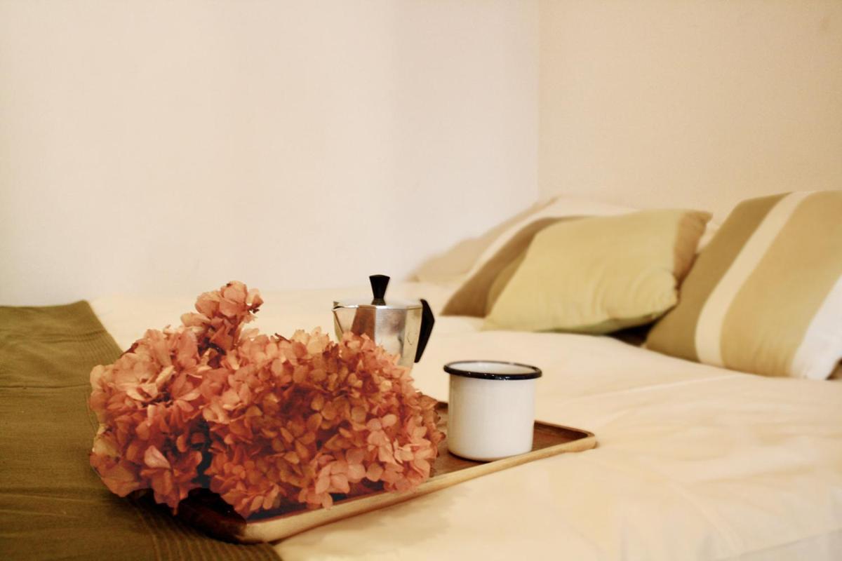 Cedro 28 Apartment โรม ภายนอก รูปภาพ